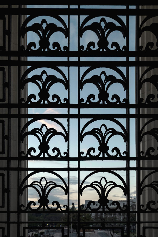 National Museum of Natural History grillwork