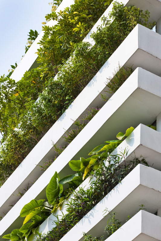 VTN Architects plants Stacking Green