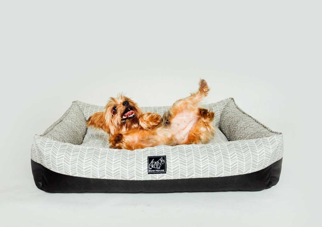 pet Bed, ped beds, meow house, bow house, meowhouse.ph, bowhouse.ph