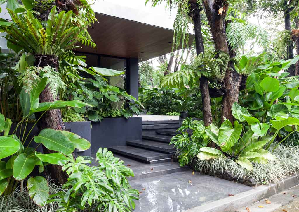 bluprint architecture tropical houses budji+royal