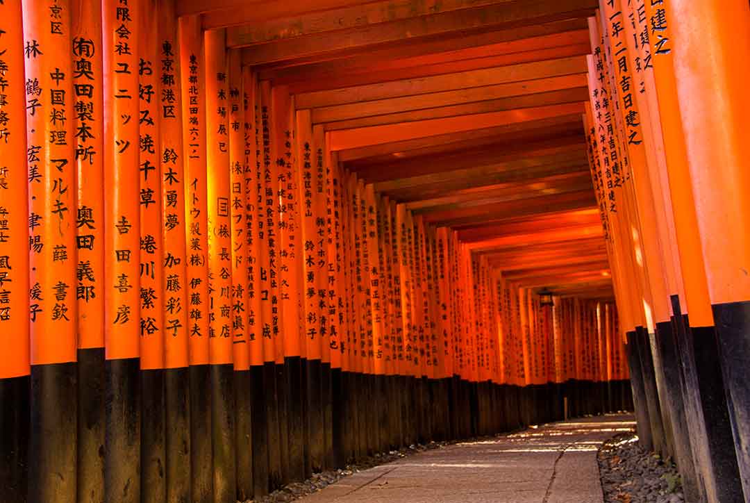 jed gomez on placemaking - Fushimi Inari, Kyoto, Japan
