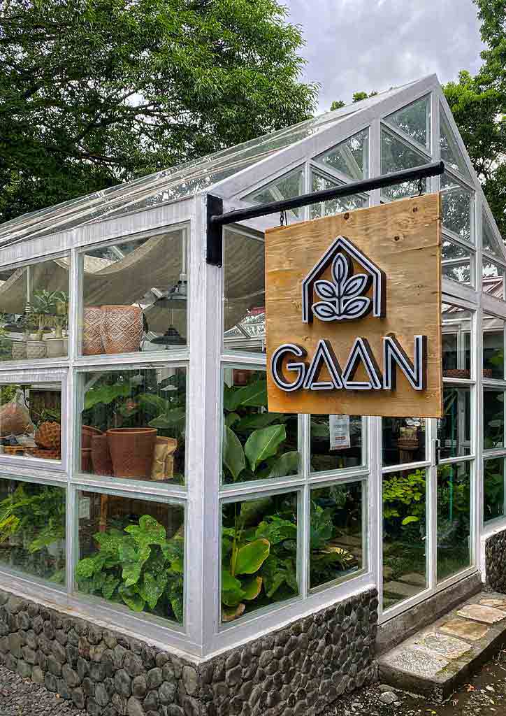 plant shopping at Gaan greenhouse