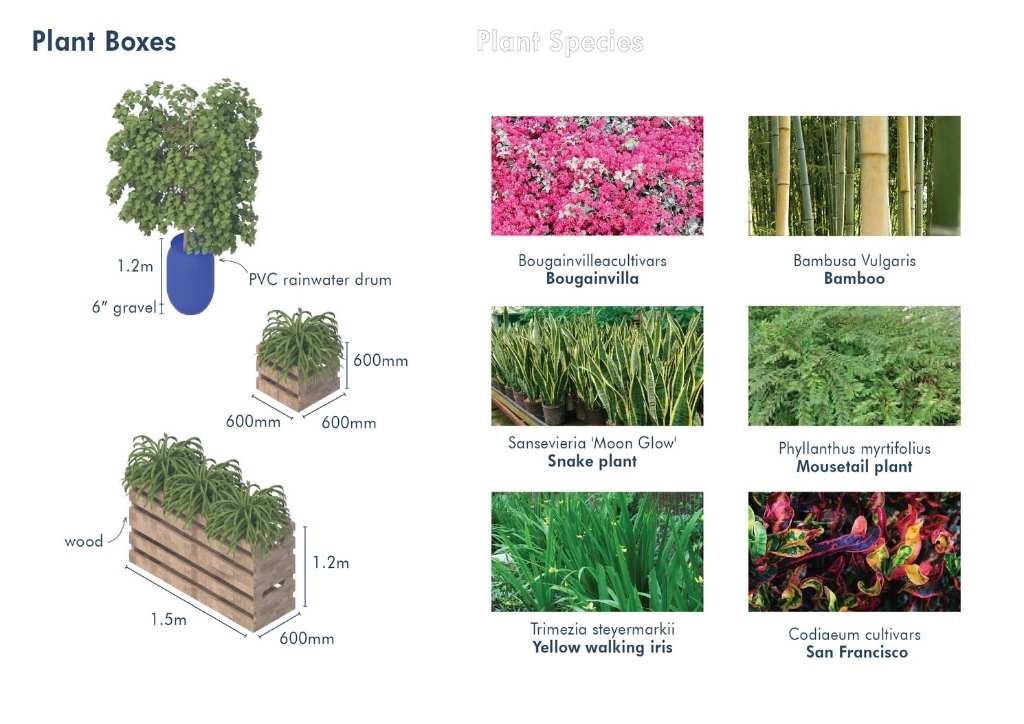 3D renderings of proposed plant boxes