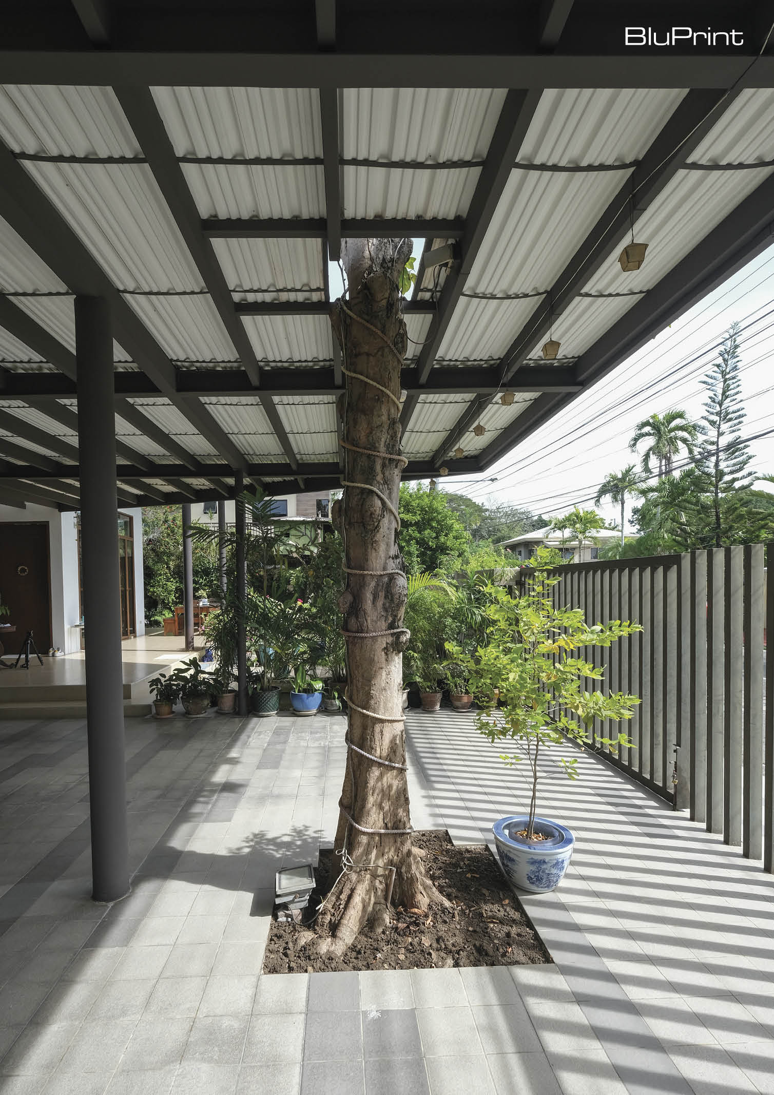 A modern home's carport with the roof built around a tree