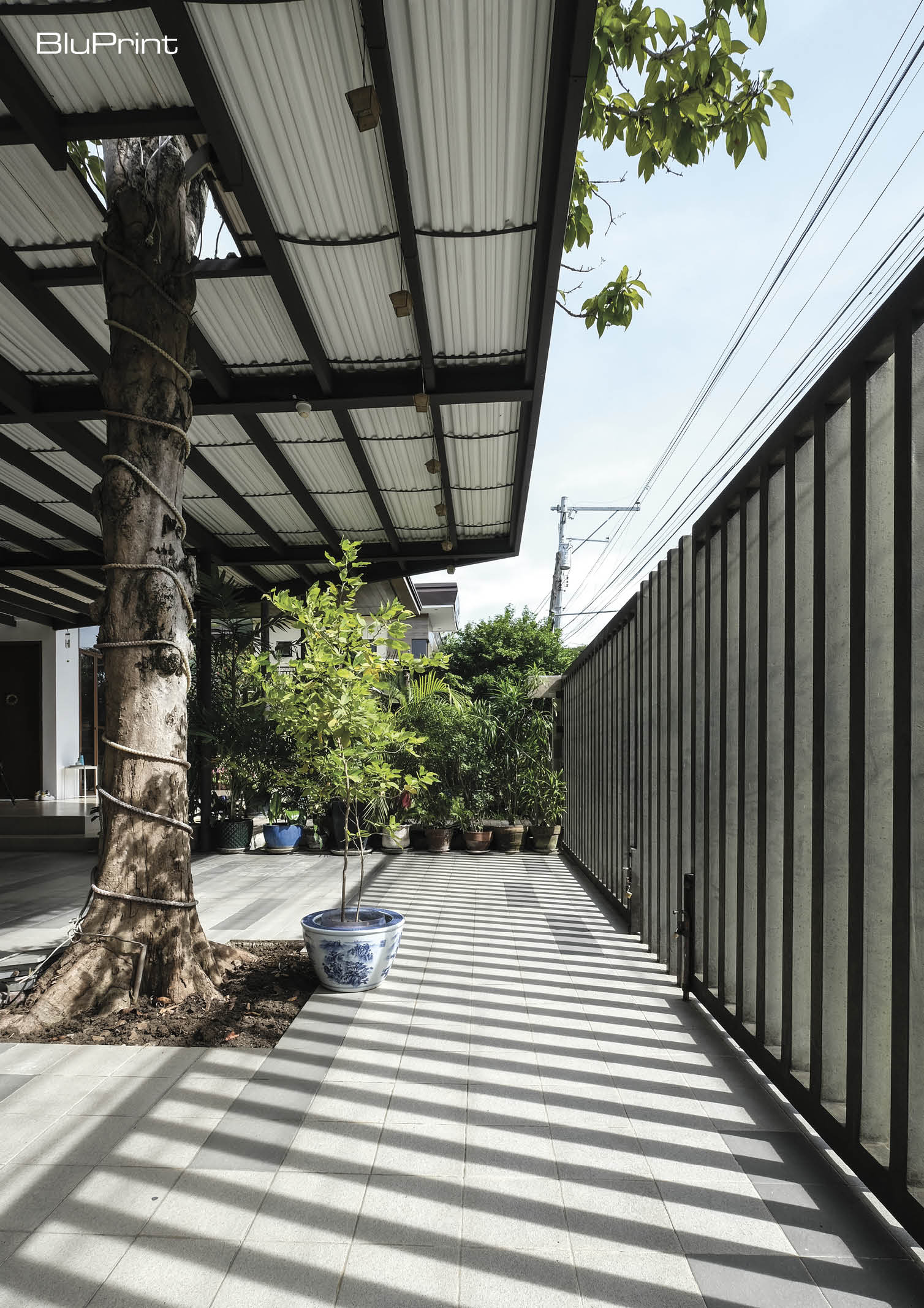 A modern home's carport with the roof built around a tree