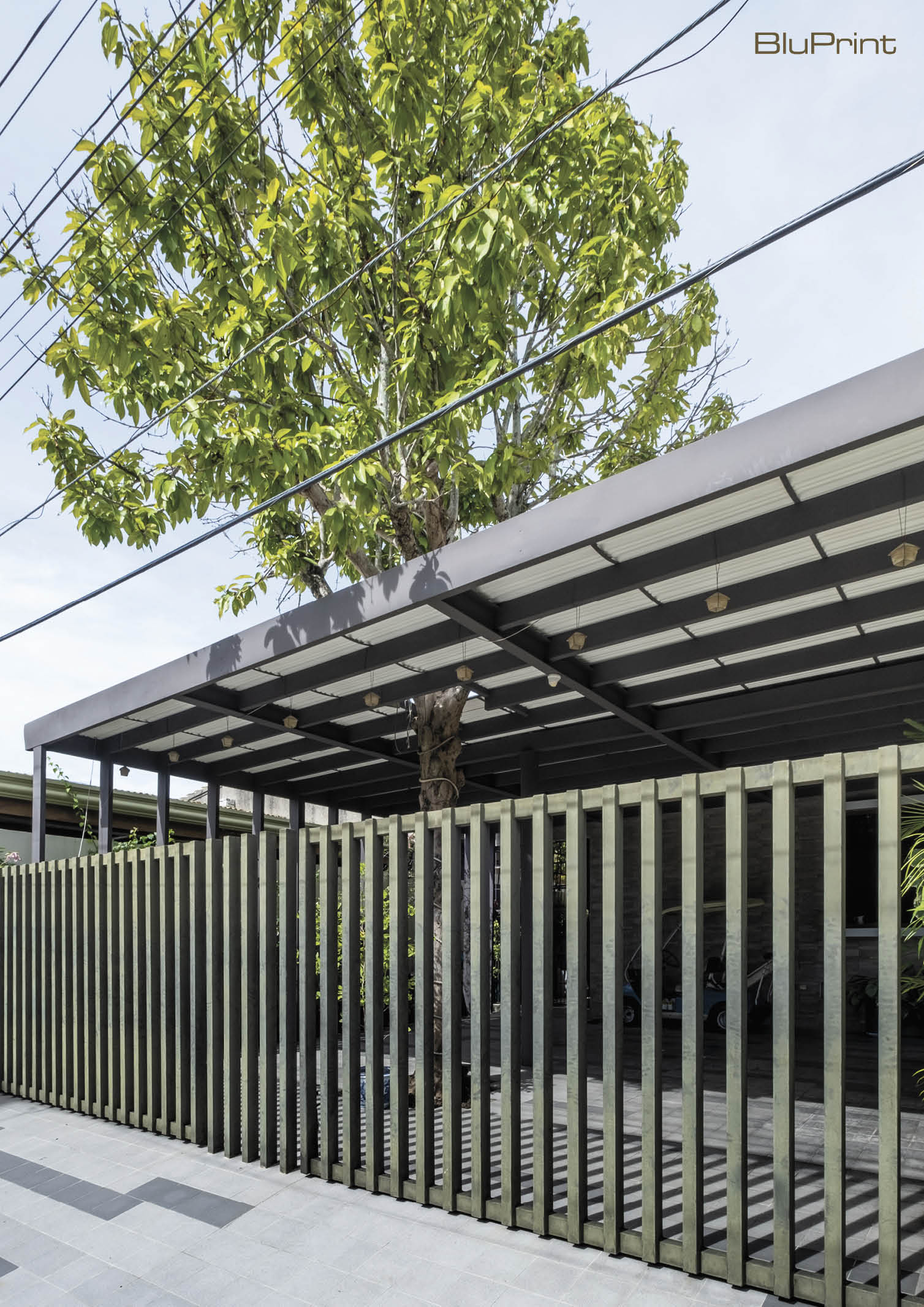 View of a modern home's front metal gate, and a tree integrated into the carport