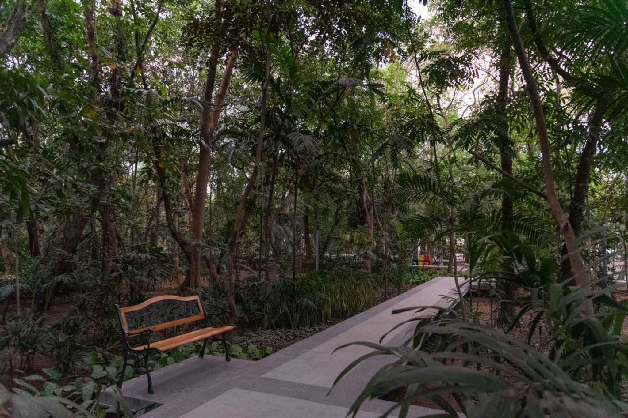 Arroceros forest Park photo courtesy of Manila Public Information Office.