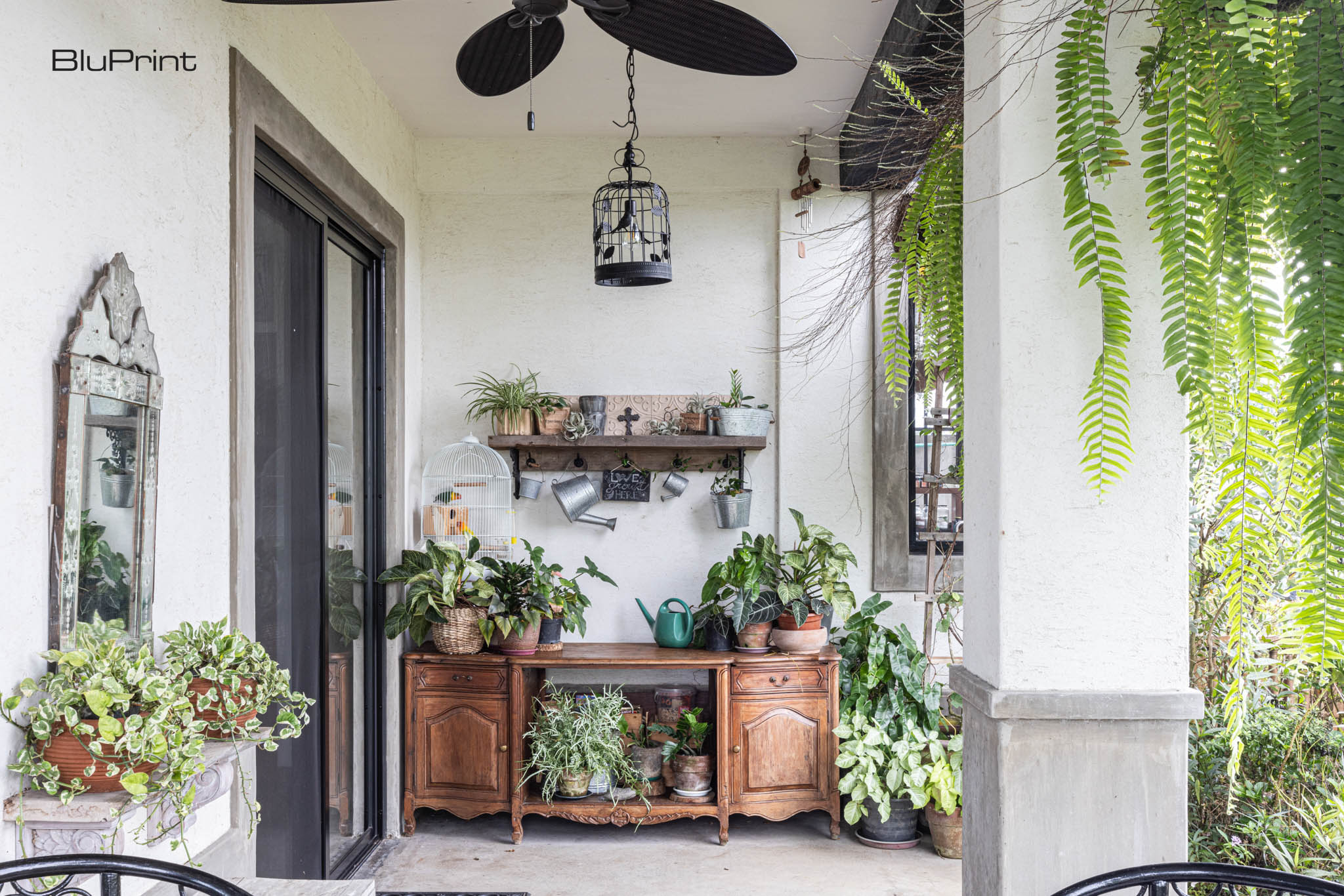 A modern home's outdoor lanai area with an antique wooden cabinet filled with plants. A black ceiling fan hangs above it.