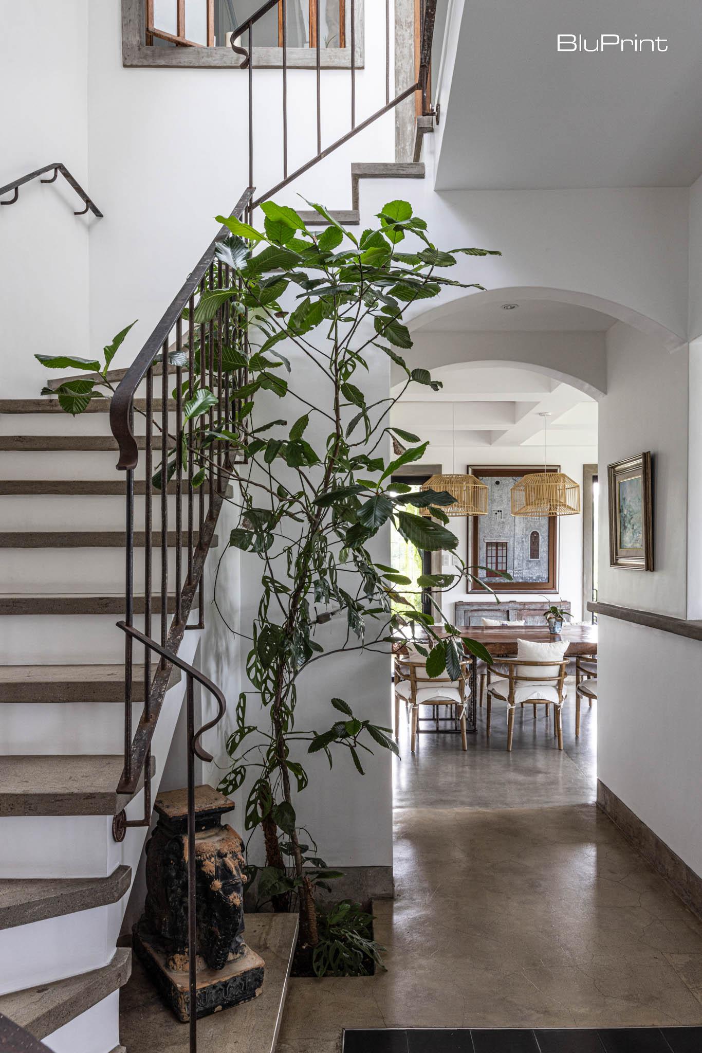 A staircase with wooden treads and metal bannister next to a tall indoor plant.