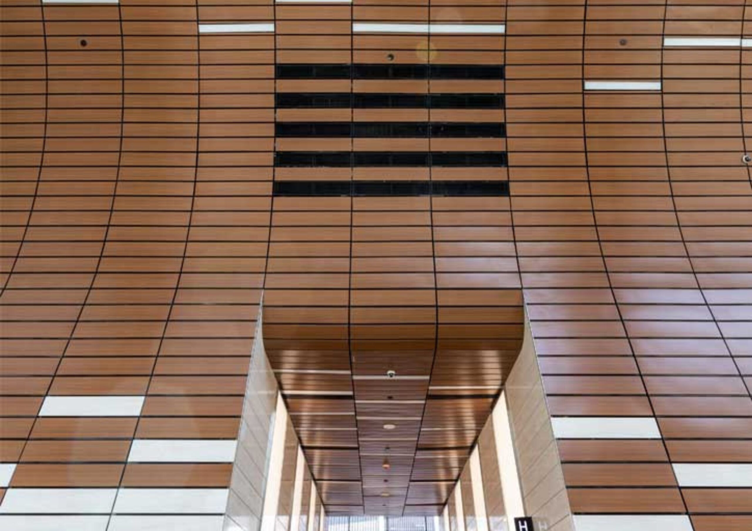 Parametric Design and the Future of Architecture