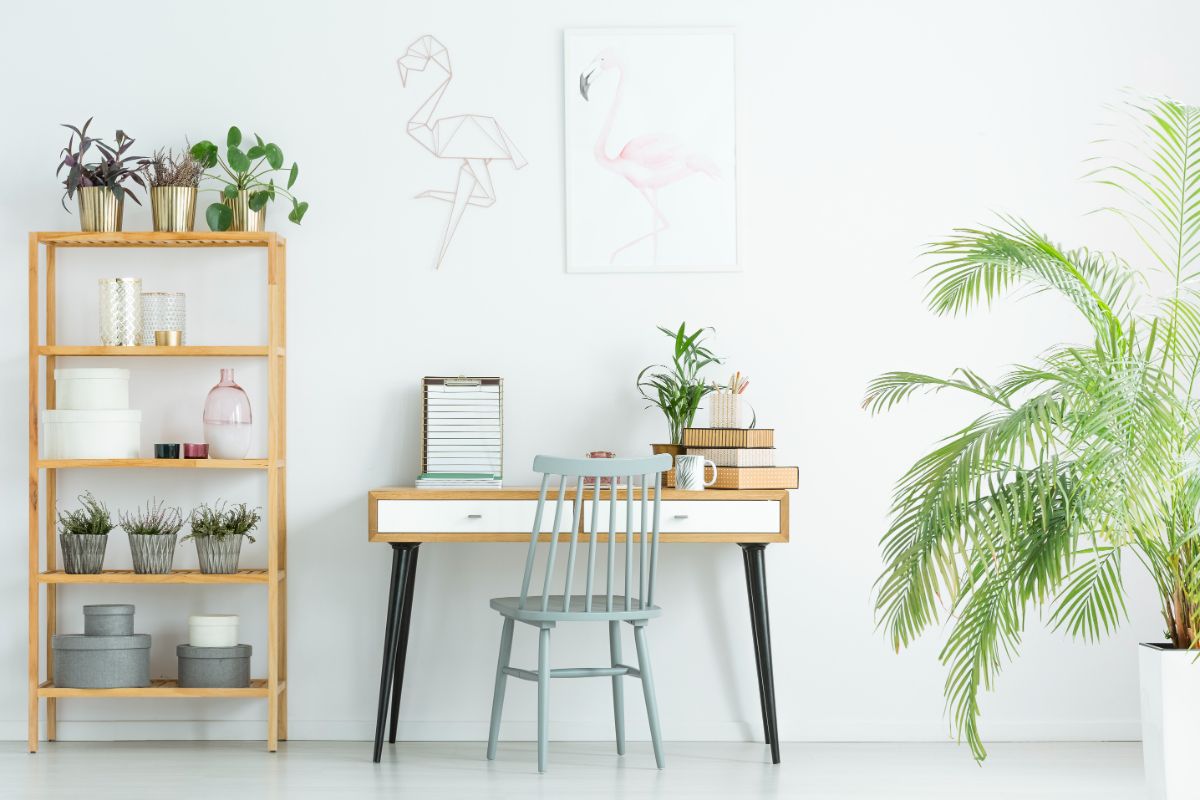 Women-owned home decor shops.