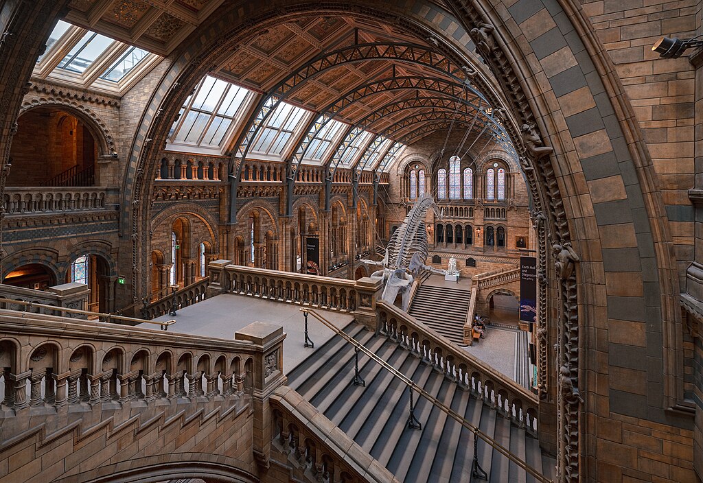 Inside of the Natural History Museum in London. Photo by Julian Herzog. Source: Wikimedia Commons.