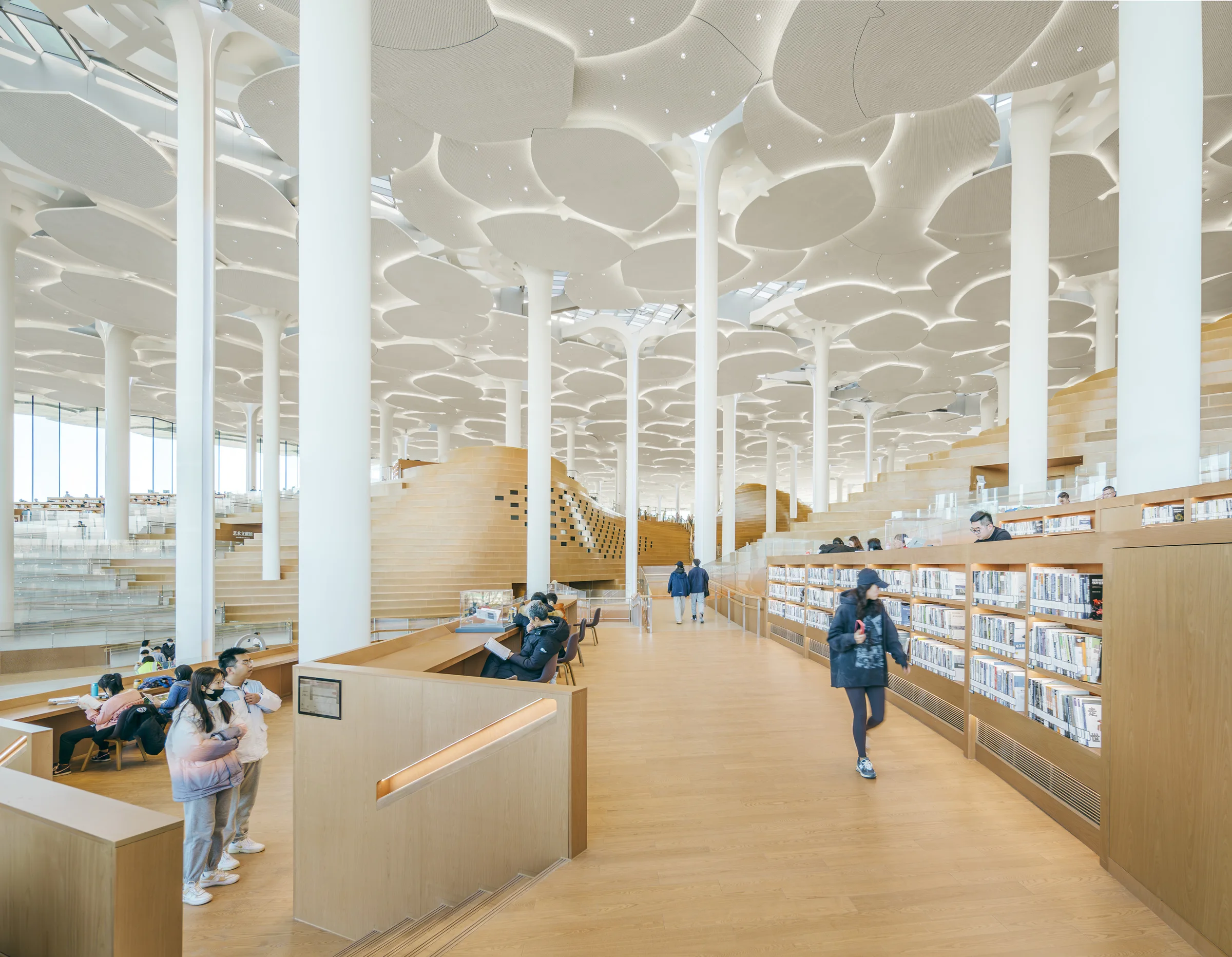 Interior of Beijing City Library, with tall columns and round roofs mimicking trees.