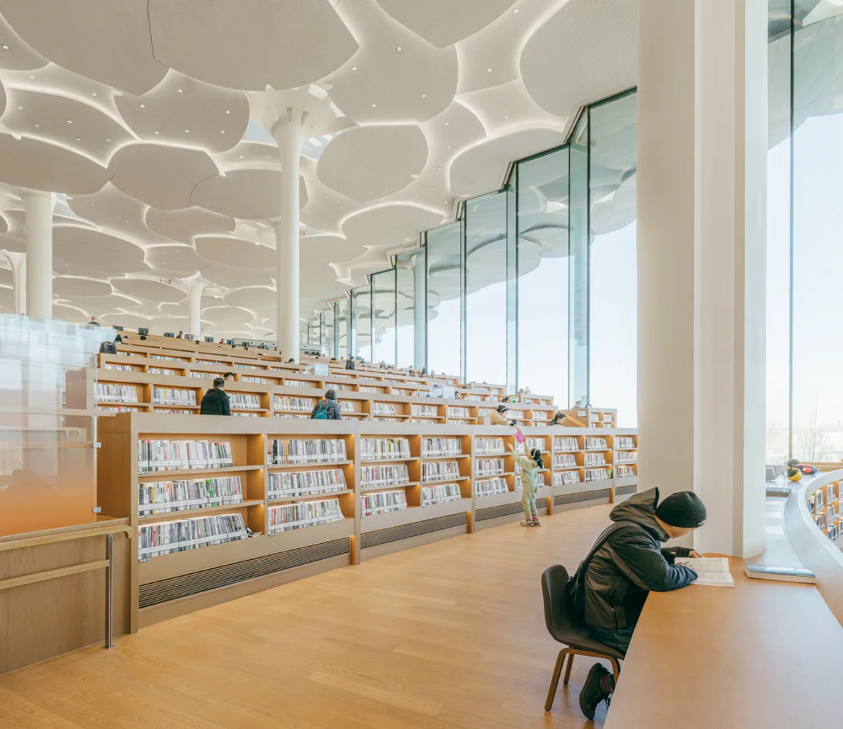 Interior of Beijing City Library, with tall columns and round roofs mimicking trees, and terraced bookshelves.