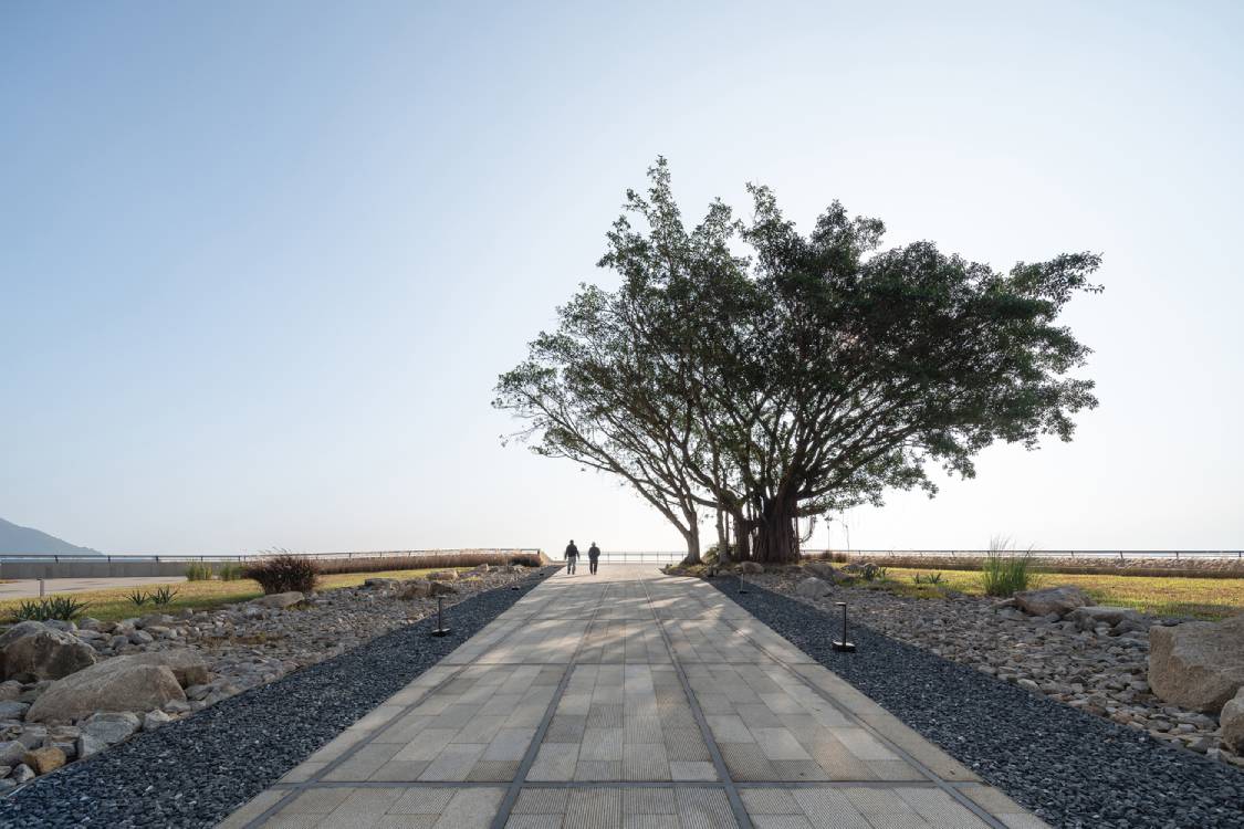 Tree at the museum. Photos by Chao Zhang, Zhengyong Liu, Fu Li, and Ye Fan.