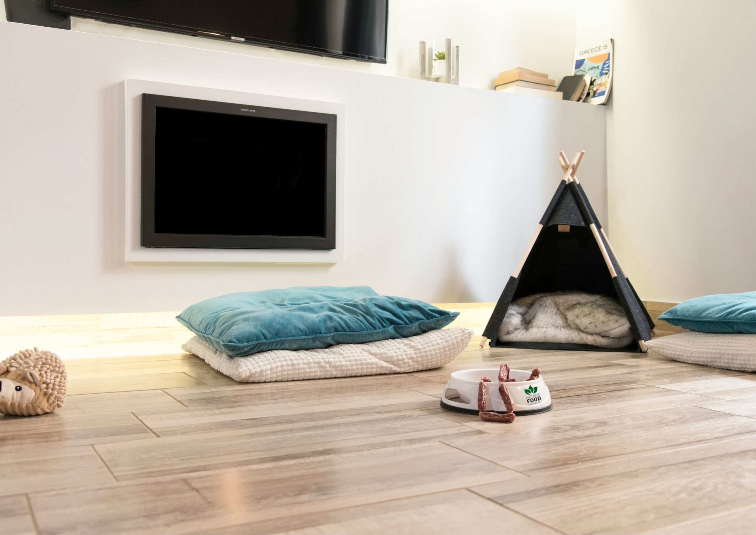 Barkitecture Is the Trending Pet-Friendly Home Design  For Your Dogs.