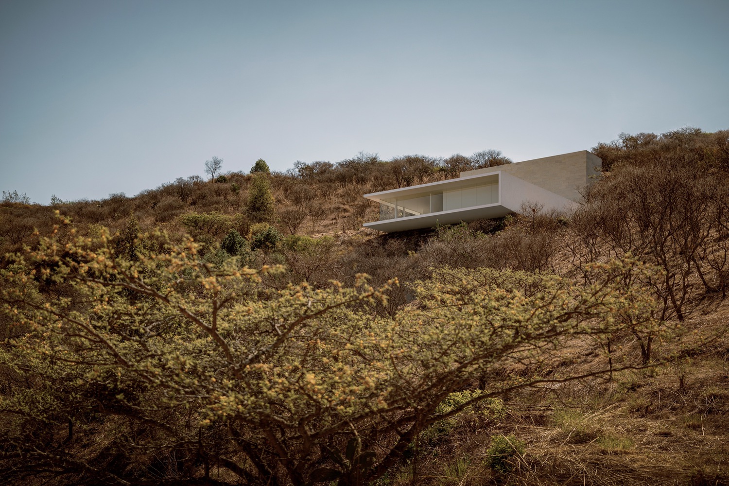 The facade of the residence from the mountain. Photo by Cesar Béjar.