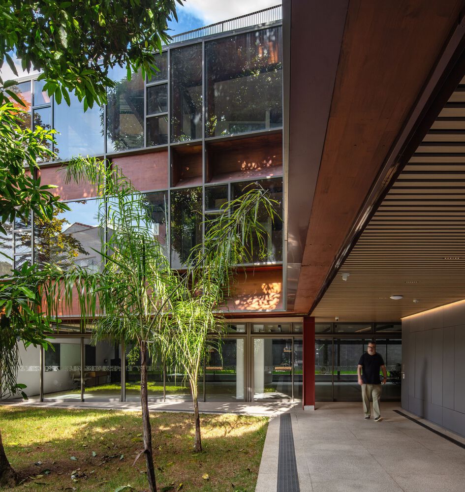 A mango tree at the center of Rudolf Steiner University. Photo by Nelson Kon and Guilherme Pucci