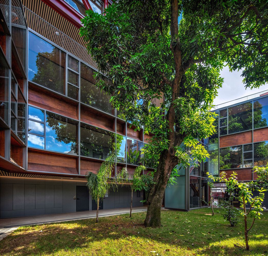 A mango tree at the center of Rudolf Steiner University. Photo by Nelson Kon and Guilherme Pucci