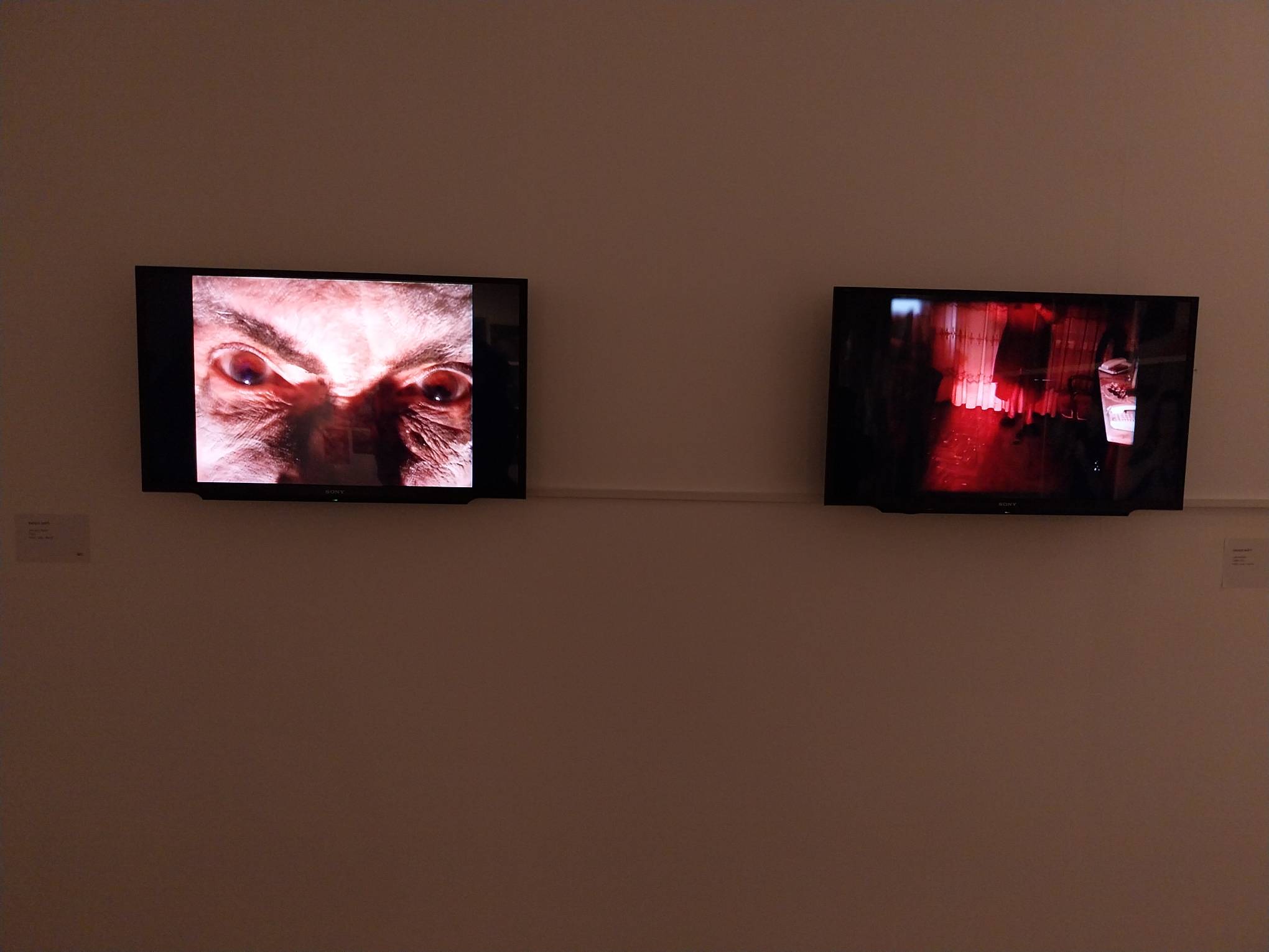 Two videos shown at "Project Belonging." Photo by Patricia Yap.