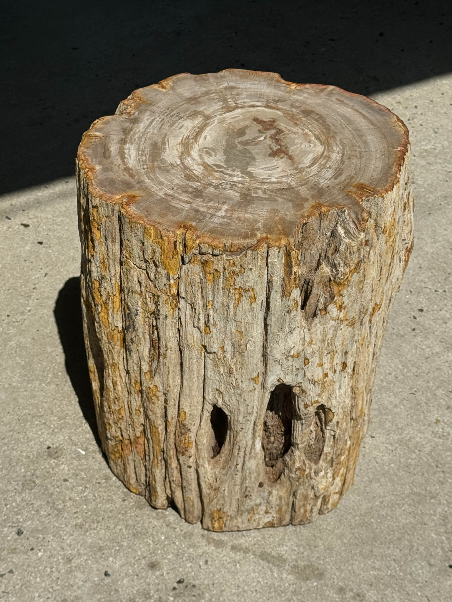 Petrified Wood Stool by Office Objects, photo courtesy of Office Objets.