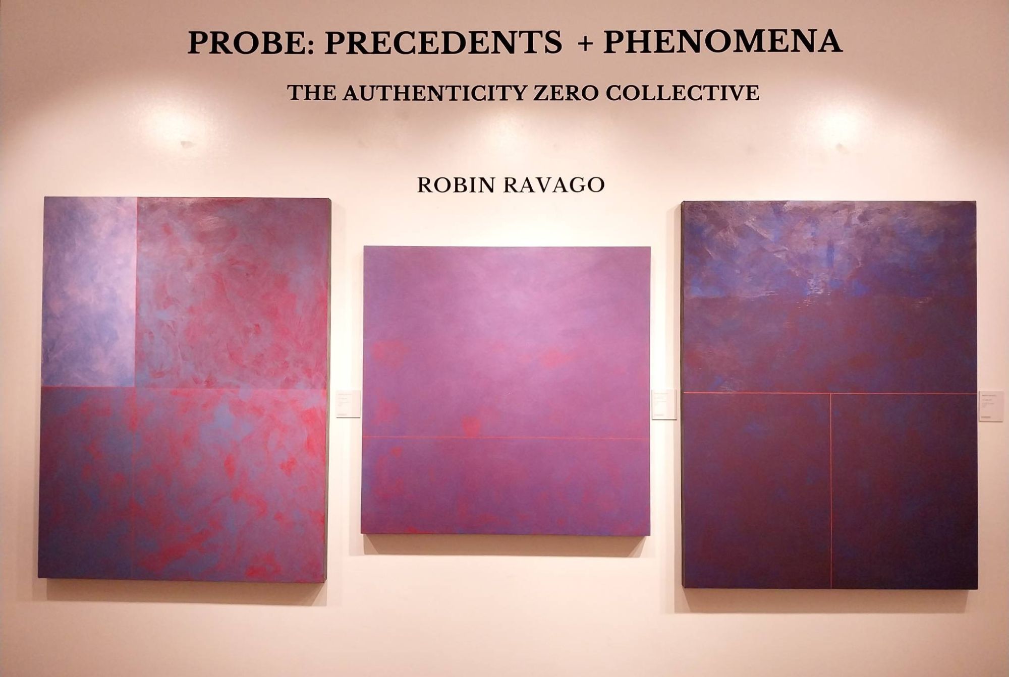 One of the works for "Probe: Precedents + Phenomena."