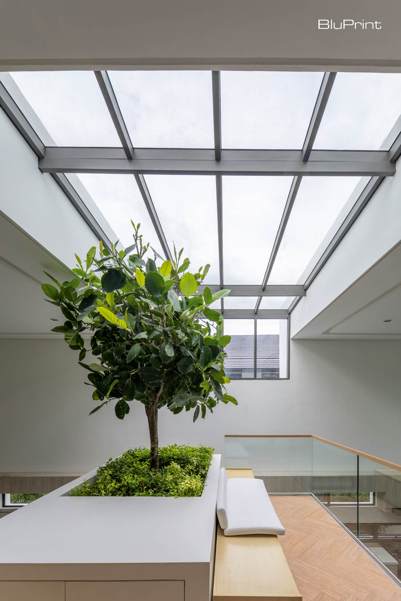 Tampipi House: Designing Outside the Box by Carlo Calma, the indoor garden, featuring a katmon tree, serves as a cozy hangout spot.