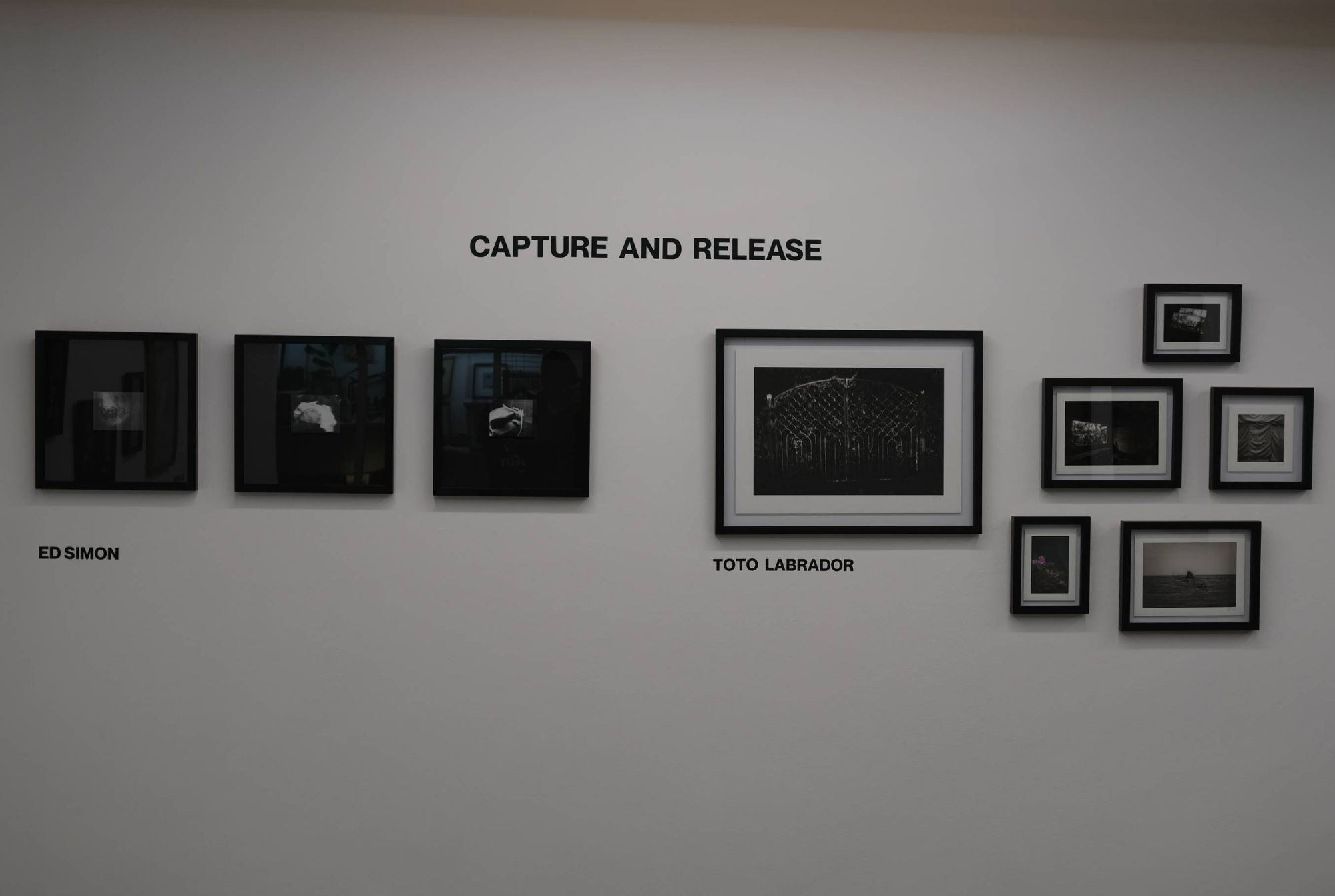 "Capture and Release" at Space Encounters Gallery. Photo by Ed Simon.